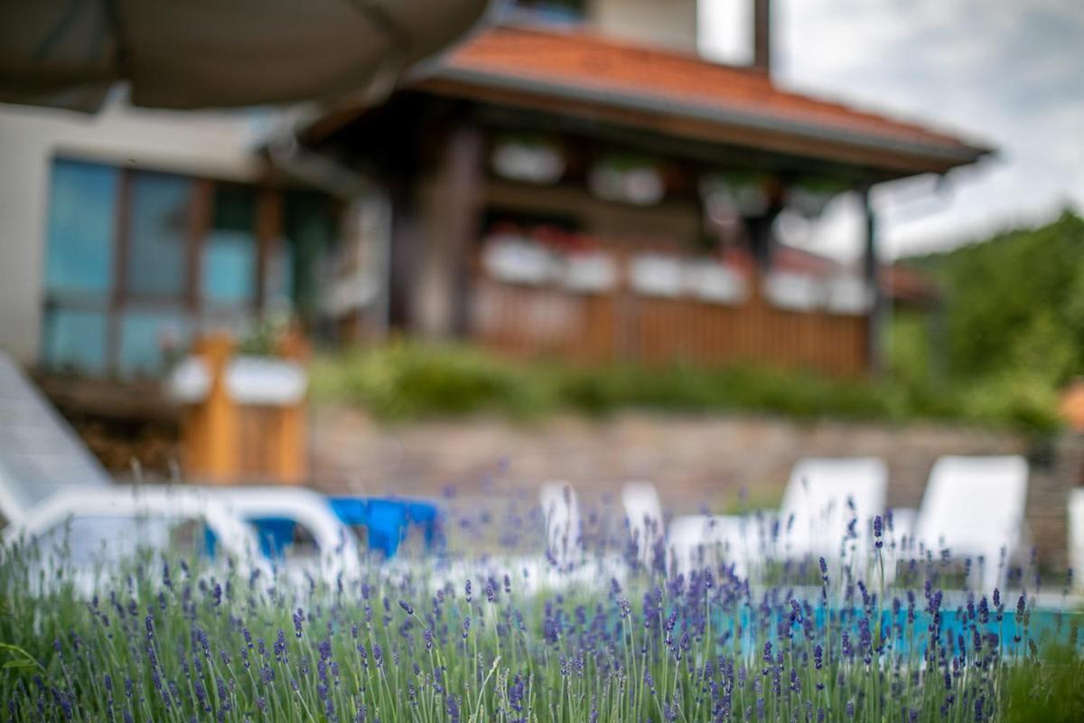 Vila Gardenia Gumoshtnik エクステリア 写真